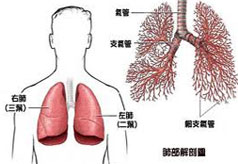 变异性哮喘的病因是什么